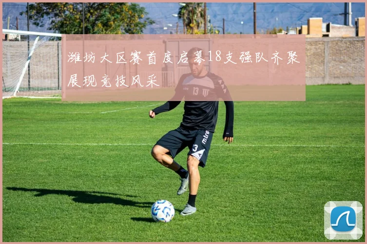 潍坊大区赛首度启幕18支强队齐聚展现竞技风采