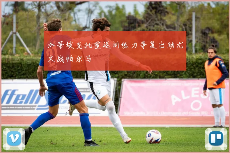 加蒂埃克托重返训练力争复出助尤文战帕尔马